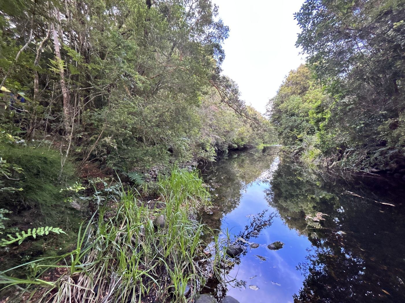 Río Trapén, Parcela Los Pinis, Puerto Montt